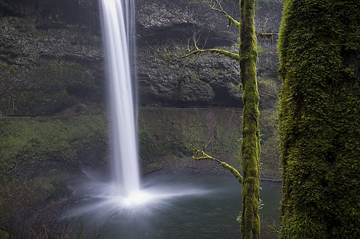 Sammy South_Falls,_Silver_Falls_State_Park,_Oregon_(8357248448)