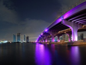 Mikaela www.wallpapergeeks.com Nighttime-Miami-FL-Skyline-Wallpaper-800x600